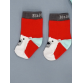 WWF Polar Bear Socks