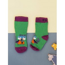 Super Racoon Socks
